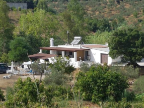 Amandolas, Casarabonela